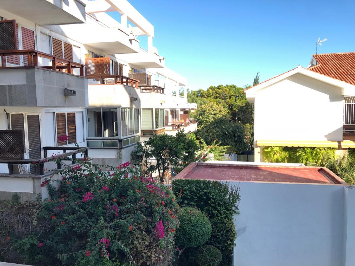 Loft Nuevo En El Corazon De Σάντα Κρουζ Τενερίφης Εξωτερικό φωτογραφία